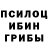 Псилоцибиновые грибы Psilocybine cubensis Aliban